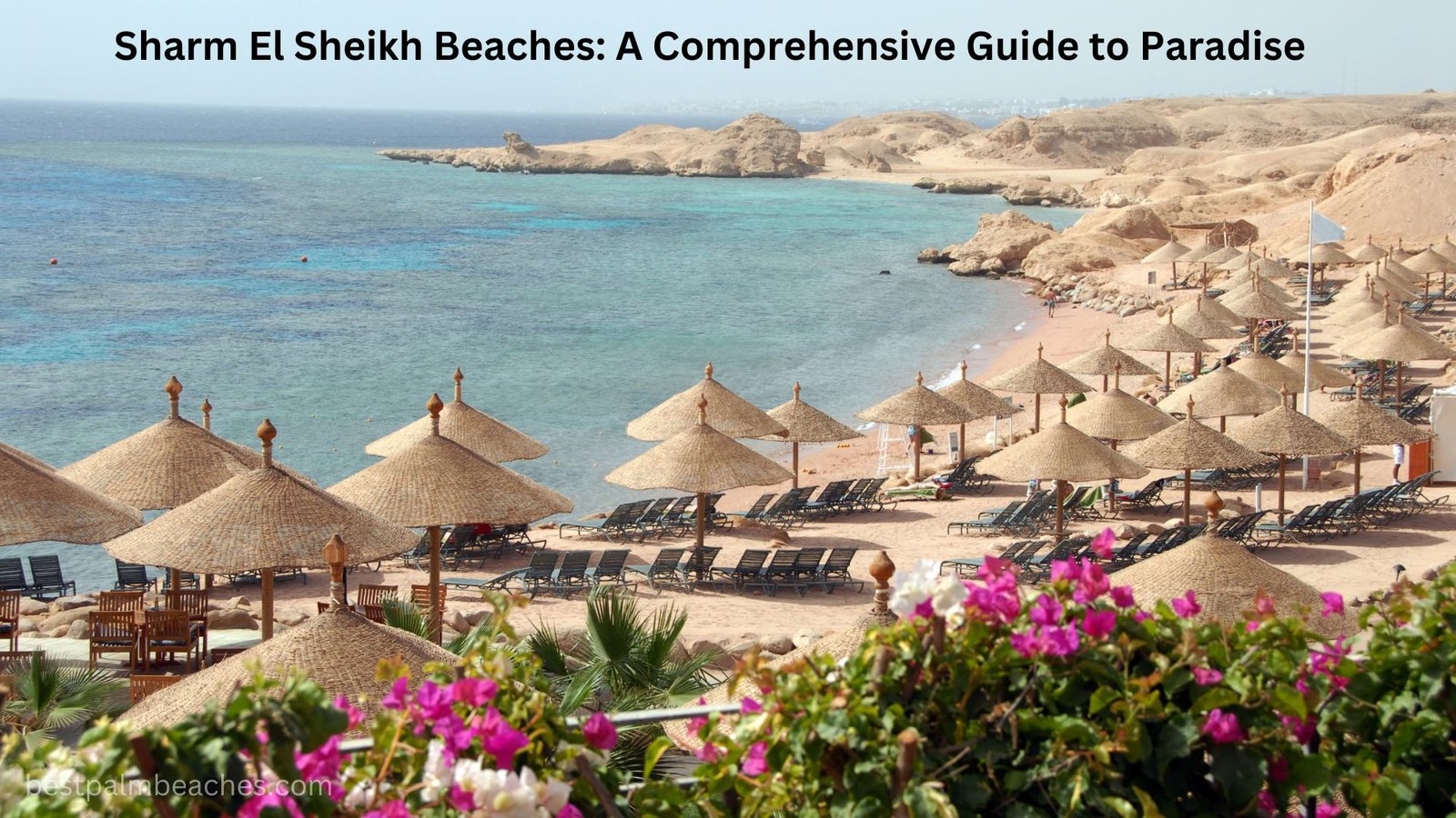 sharm el sheikh beaches