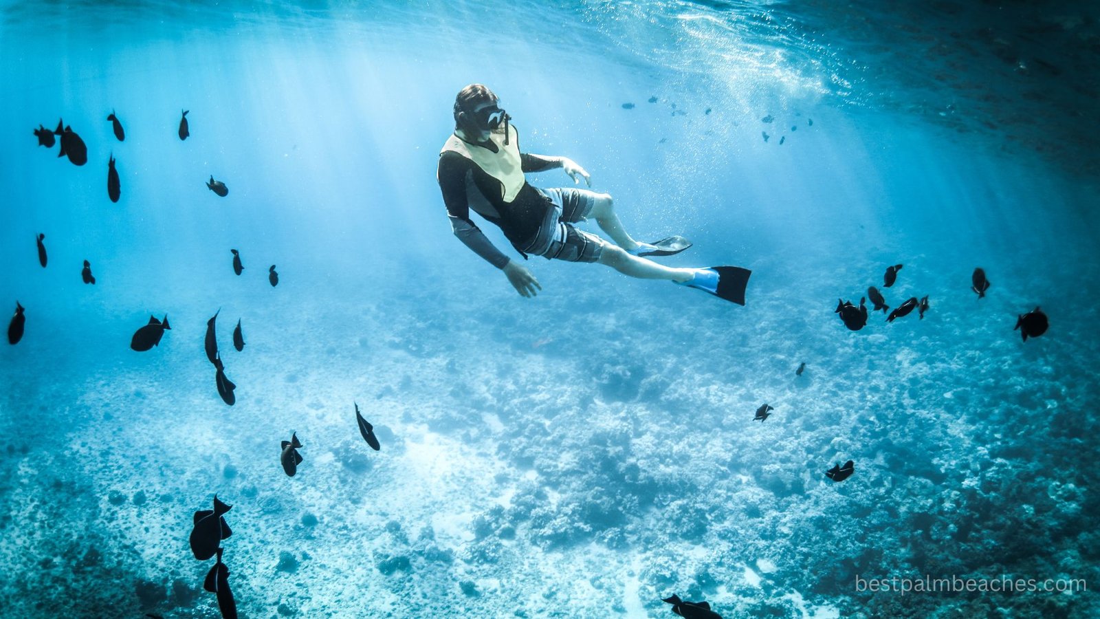 snorkeling cozumel beaches