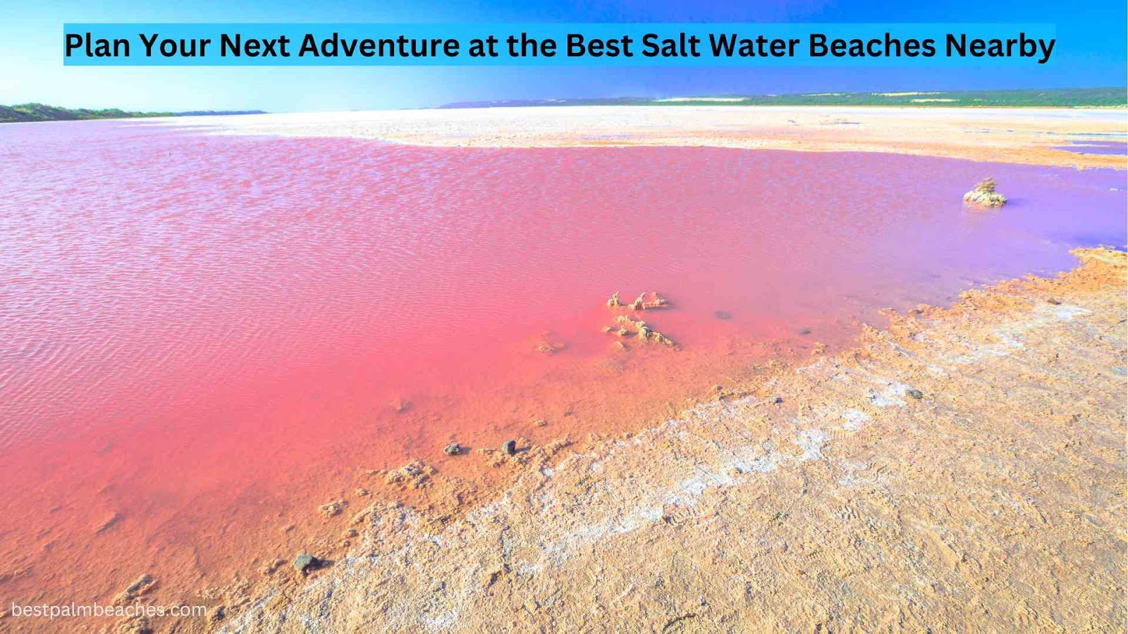 salt water beach near me